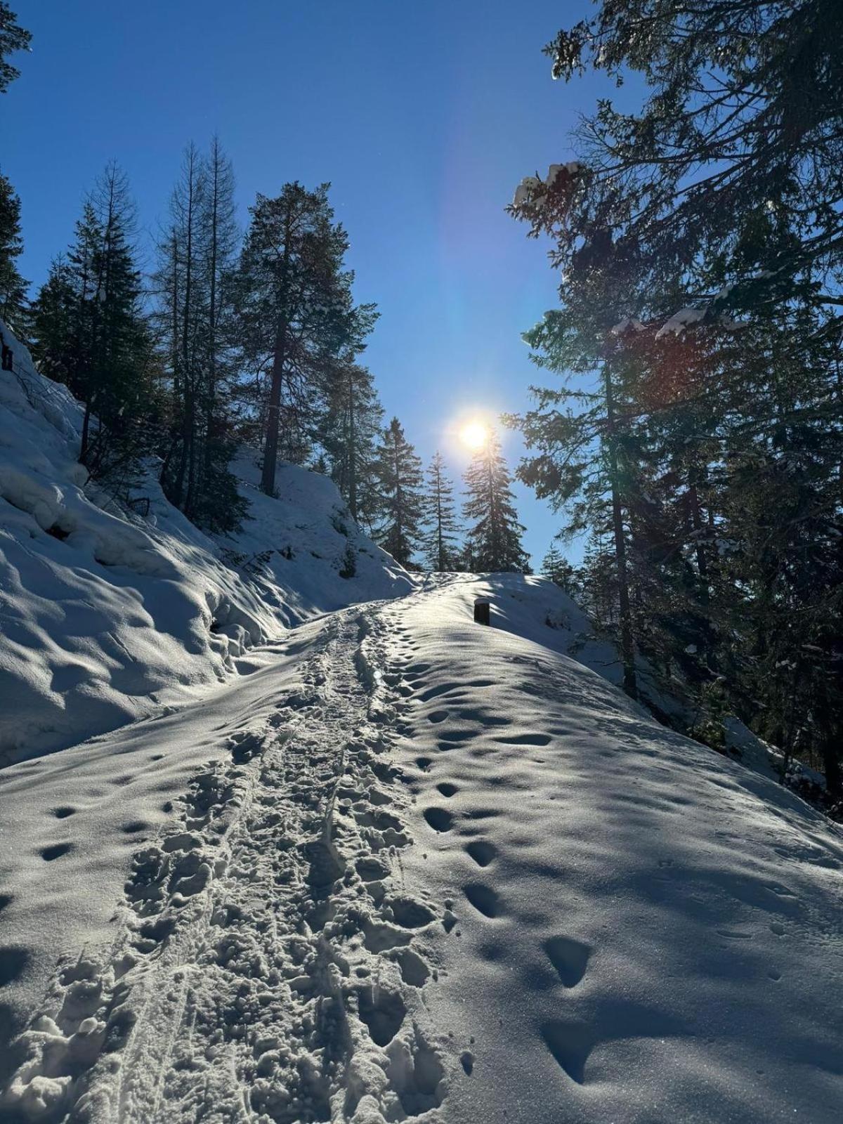 Alpenlandhaus Menardi Seefeld no Tirol Exterior foto