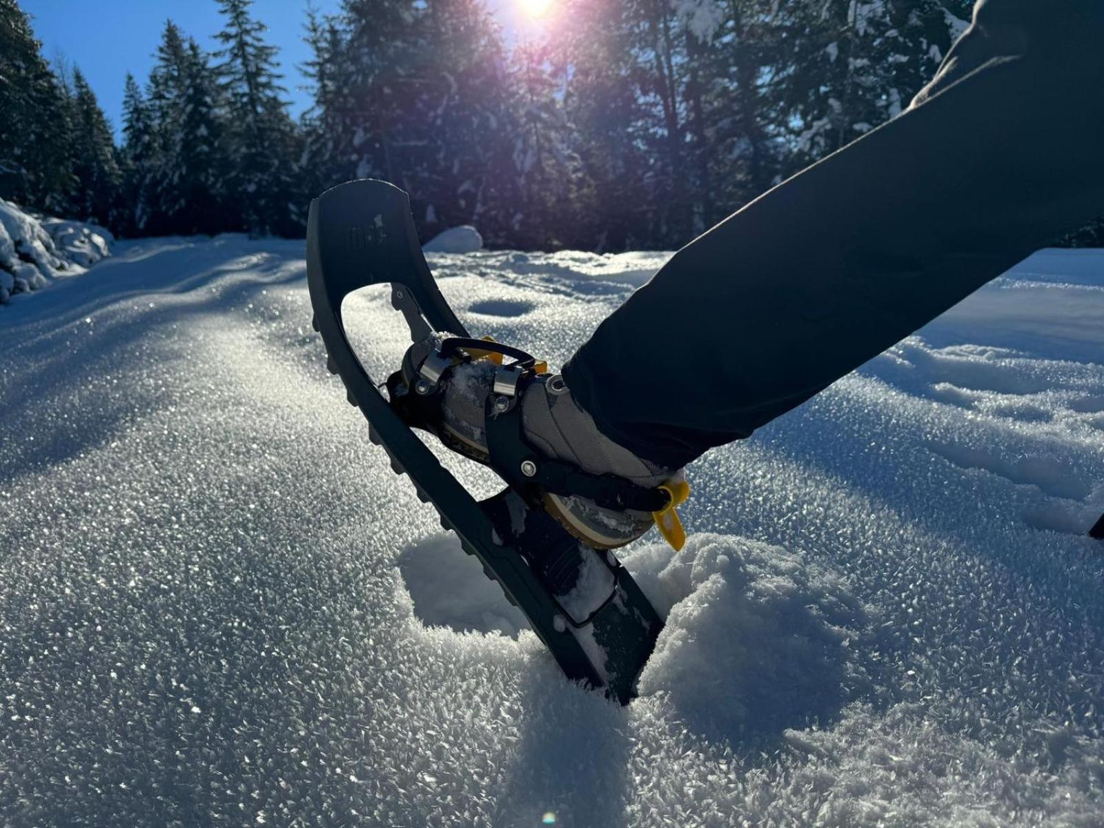 Alpenlandhaus Menardi Seefeld no Tirol Exterior foto