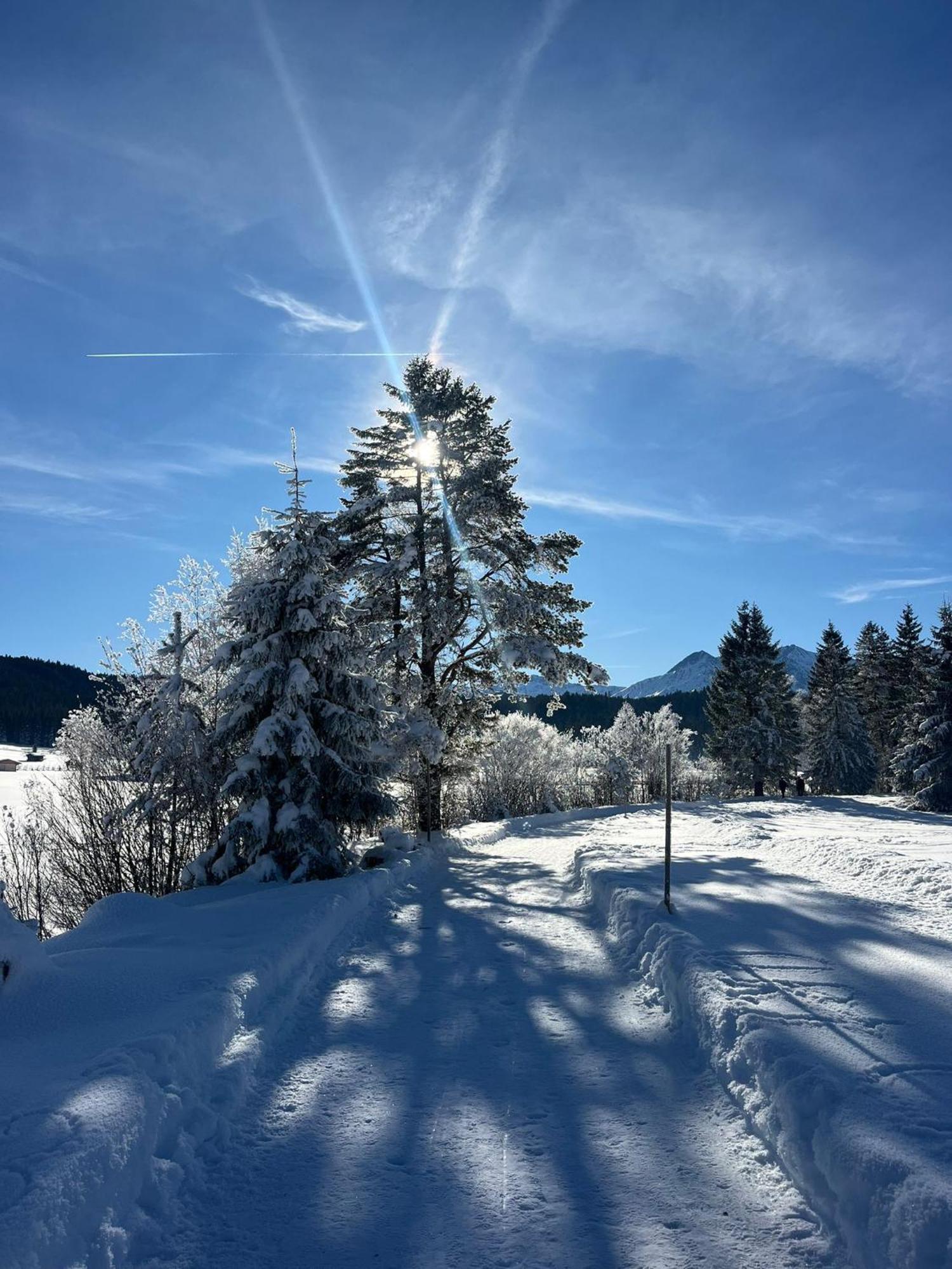 Alpenlandhaus Menardi Seefeld no Tirol Exterior foto